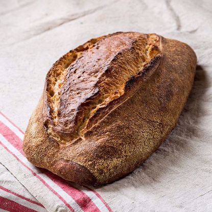 Levain Blond 800 gram