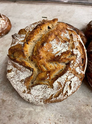 Emmerbrood 800 gram